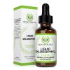 Benevolent Nourishment Liquid Chlorophyll Extract Drops – Organic Detox & Immune Support, Internal Deodorizer & Skin Health Supplement, Non-GMO, 4 Month Supply, Natural Mint Flavor (2 oz)