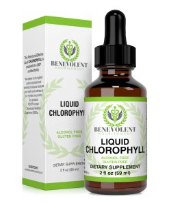 Benevolent Nourishment Liquid Chlorophyll Extract Drops – Organic Detox & Immune Support, Internal Deodorizer & Skin Health Supplement, Non-GMO, 4 Month Supply, Natural Mint Flavor (2 oz)